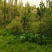 بر جاده فشم شمشک