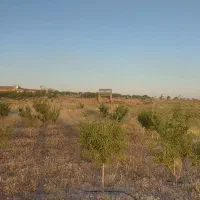 باغ روستای ورس
