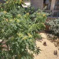 آپارتمان ۲۰۸ متر مربع تک واحدی ط دوم
