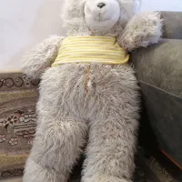 عروسک خرسی