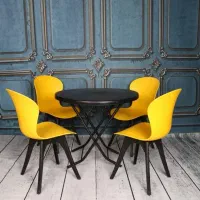 صندلی فانتزی پلاستیکی فایبر طرح میزلند