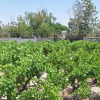 ​تهاتر با خودرو /۳۷۵ متر باغچه سرسبز و آینده‌دار