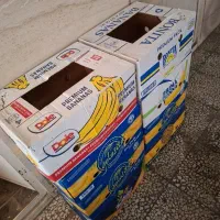 ۸ عدد کارتن موز