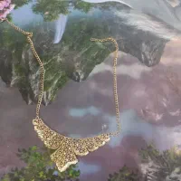 سینه ریزشیک