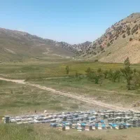 عسل طبیعی کوهستان