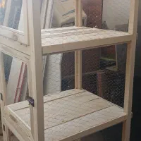 جفت کن کبوتر قیمت تا امشب این مبلغ است