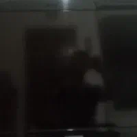 تلویزیون