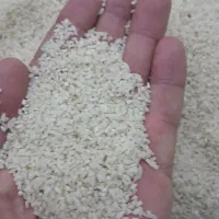 نیمدانه هاشمی