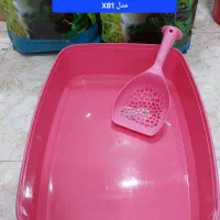 ظرف خاک گربه