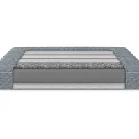 تشک هارد دکتر شولز