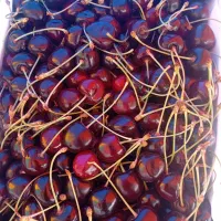 گیلاس درجه ۱