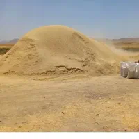 400 کیلو کاه نخود