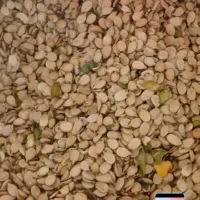 تخمه آجیلی هندوانه