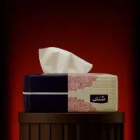 دستمال کاغذی اقتصادی