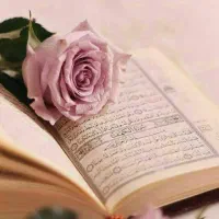 سر‌کتاب و..