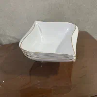 کاسه سیلویا