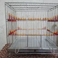 قفس سهره نو سایز ۴
