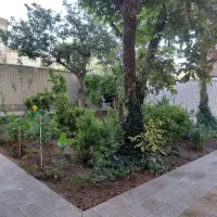 115متر-تک-واحدی-جنوبی-نواب-صفوی