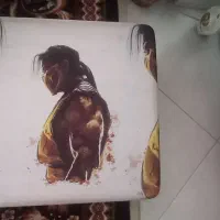 کیف محافظ ps4