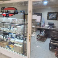 محافظ ۲۴۵۰ ولت آمپر سارا(یخچال و فریزر)