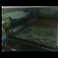 تلویزون .ال ای دی.  ۶۵ابنج