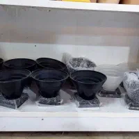 گلدون کاکتوسی