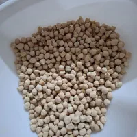 نخود