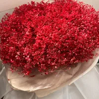 گل عروس