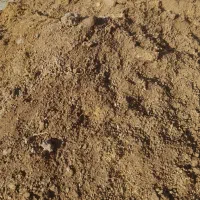 کود
