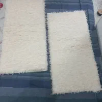 پادری