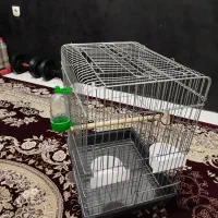 قفس پرنده مشکی