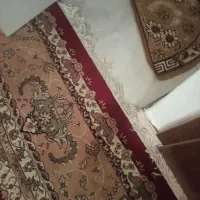 فرش 12 متری