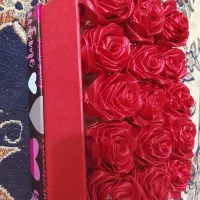 گل ربانی قرمز