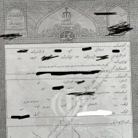 زمین-تجاری-واوان-بر-اصلی-علامه-ولیعصر-سند-تکبرگ