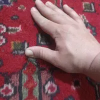 نقشه وطرح خاص دسباف قبا اندازه1.65در2.55|فرش|خوی, |دیوار