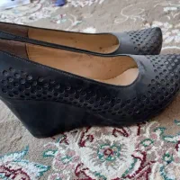کفش کالج مجلسی