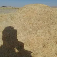 کاه گندم|لوازم جانبی حیوانات|شوشتر, |دیوار