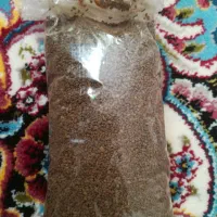 غذای ماهی