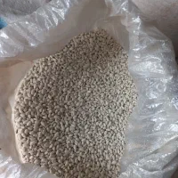 لوبیاسفید