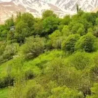 فروش-زمین-ایسین-سرریگ-دوم-2برموقعیت-عالی