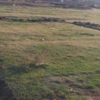 فروش زمین شهید خیرلا
