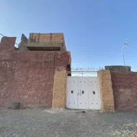 دامداری