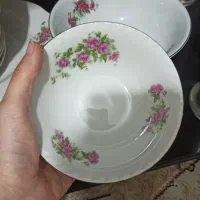 گل سرخی و میخک|ظروف سرو و پذیرایی|تهران, جی|دیوار