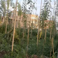 فروش روبه رو شهرک صفا تجاری و مسکونی