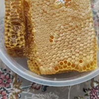 عسل طبیعی وخود بافته وضمانتی