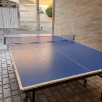 میز پینگ پنگ