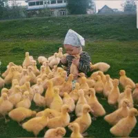 600 کیلو یونجه توام بسینم
