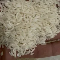 برنج هاشمی درجه یک مازندران