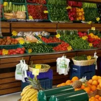 ۱۶ متر مغازه    فقط  میوه فروشی  یا سبزی خورد کنی