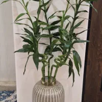 گل بامبو به همراه گلدان